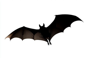 A bat is flying in the air with its wings spread wide. The image has a dark and mysterious mood, as the bat is the only visible object in the scene