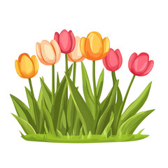 2D flat vector illustration springtime garden with tulips icon isolated on a white background.

