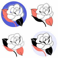 Set of 4 magnolia flower icons vector