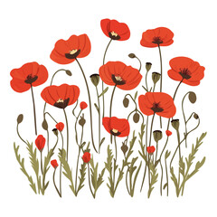2D flat vector illustration vibrant red poppies in a spring field icon isolated on a white background.


