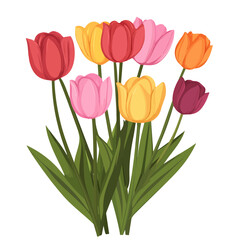 2D flat vector illustration vibrant tulip bouquet icon isolated on a white background.

