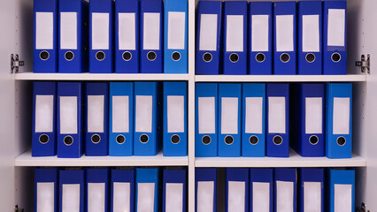 Registry or archive in blue file binders with blank spines. File document system for patient...