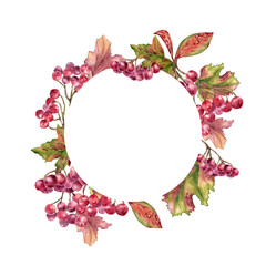 Watercolor viburnum berry circle frame with red guelder rose on branches and leaves isolated. Botanical frame with berries and leaves hand painted for autumn decor, seasonal cards, packaging.