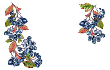Black chokeberry corner frame in watercolor style with rich berry clusters isolated on white. Autumn botanical border with black berries hand drawn for packaging, invitation, rustic fall design.