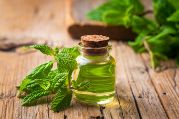 Fresh green mint and mint oil
