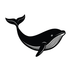 Blue Whale Outline Silhouette With Curving Body On White Background