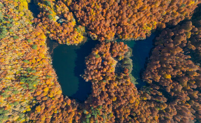 Aerial autumn landscape shooting with Bolu Yedigoller drone - Turkey