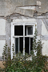 Altes Fenster mit Efeu bewachsen
