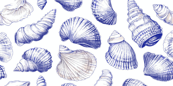 Detailed linear flat icons set of sea shells - vector design.