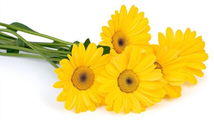 Naklejka premium Vibrant Yellow Gerbera Daisy Bouquet on White