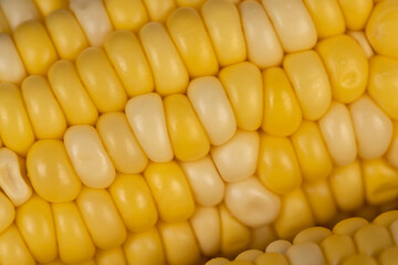 peeled corn cob with yellow and white seeds of different sizes and shades
