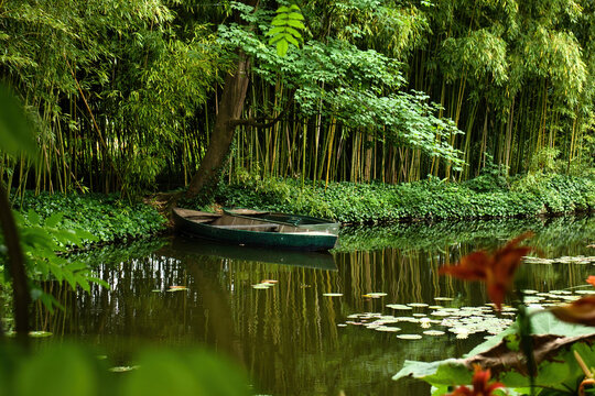 Bamboo trees by pond with canoe in Monet's Garden on a summer day in Giverny, France.
