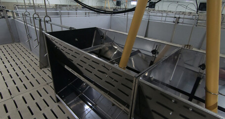 Pens for breeding piglets on a pig farm. Pigsty, pig breeding.