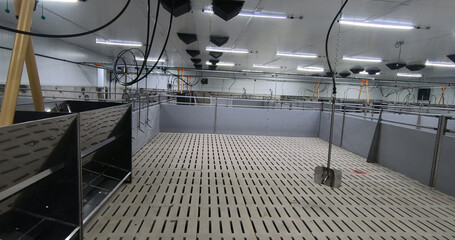 Pens for breeding piglets on a pig farm. Pigsty, pig breeding.