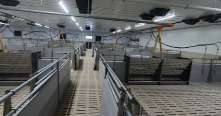 Pens for breeding piglets on a pig farm. Pigsty, pig breeding.