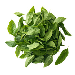 Fototapeta premium a bunch of spinach leaves on a white surface