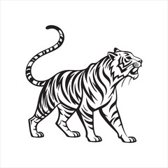 Fototapeta premium tiger on white background