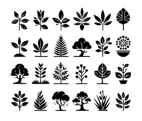 Refined Plant and Tree Illustrations