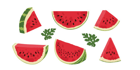 Set with watermelon slices. Hand drawn watermelon slices.