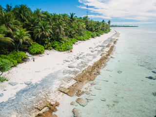 Maldive island and ocean with beach and coconut palm trees