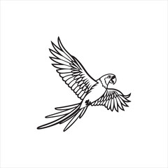 Obraz premium vector illustration of an eagle