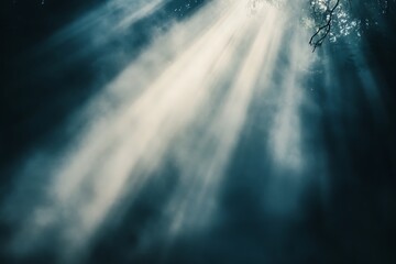 Fototapeta premium Tranquil Misty Landscape with Sunlight Beams Reflecting on Water