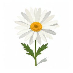 an AI Image Generator, Close-Up of a Daisy Flower Isolated Against
