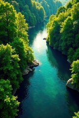 Fototapeta premium Serene River Flowing Through Lush Green Foliage, A Breathtaking View From Above