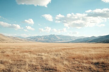 Fototapeta premium A serene landscape featuring golden grass stretching across a vast field, with majestic mountains in the distance under a bright blue sky dotted with fluffy clouds.