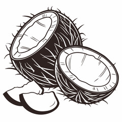 High-quality vector artwork of a full-body coconut, perfect for digital designs, prints, and branding