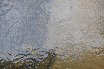 The water is murky and has a brownish tint