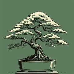 Elegant Bonsai Tree in Decorative Pot

