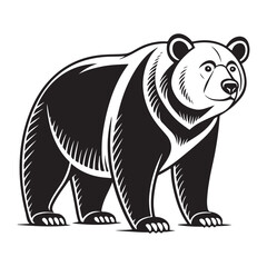 Bear Vector 