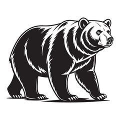 Bear Vector 