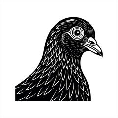 a pigeon head vector drawing of a bird