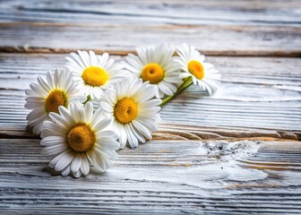 Obraz premium Macro Daisy Photography: White Wooden Board Flat Lay, Small Flowers, Handmade Table, Copy Space