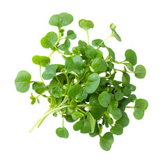 Fresh Watercress with Small Green Leaves Isolated on a Transparent Background, Perfect for Healthy Salads and Garnishes