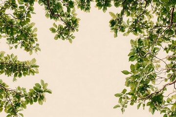 Fototapeta premium Serene Canopy of Lush Greenery