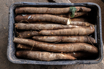 Cassava stacked in a plastic box, ready to be sold, in Brazil