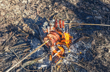Meat and sausages roasting on skewer over campfire in forest