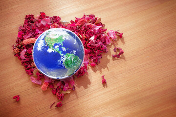 Earth in Heart shape dry flowers on wood table in sunlight, Love and Save the World for the Next Generation concept, Earth day concept, Elements of this image furnished by NASA