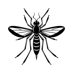 Obraz premium Mosquito