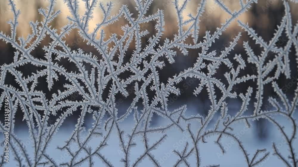 Poster close-up video of intricate frost patterns on a window, shot from a straight angle, capturing the de