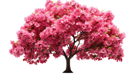 Fototapeta premium 3D Crabapple Tree Isolated on Transparent Background, PNG