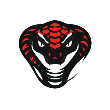 Snake logo. Snake head. Snake Head logo on white background. Vector illustration.