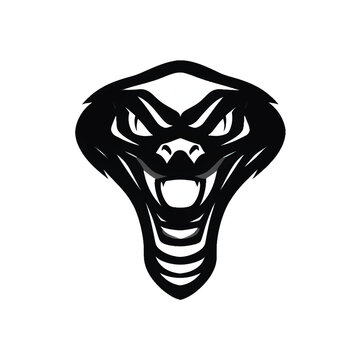Snake logo. Snake head. Snake Head logo on white background. Vector illustration.