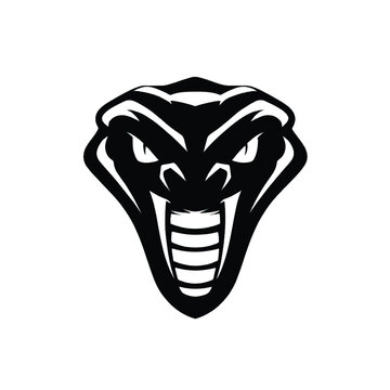 Snake logo. Snake head. Snake Head logo on white background. Vector illustration.