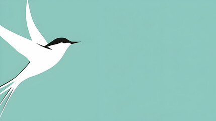 Obraz premium White bird in flight, teal background, freedom concept, website banner
