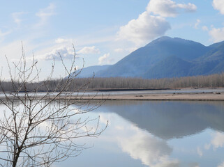 Beautiful view of the Fraser River at Island 22 Regional Park during a winter season in Chilliwack, British Columbia, Canada