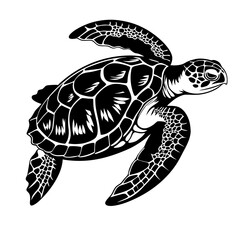 Obraz premium A black and white vector illustration of a turtle